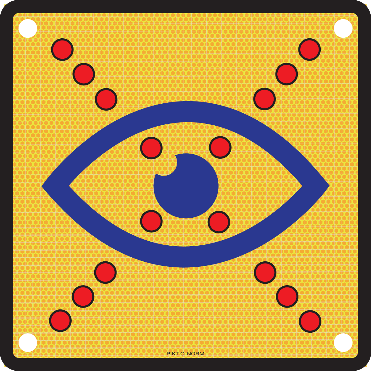 SYMBOOL BLINDEN EN SLECHTZIENDEN