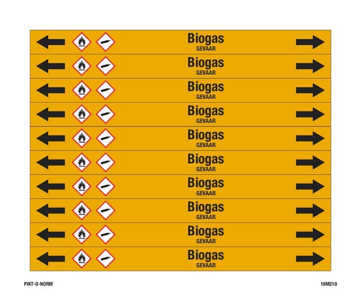 BIOGAS