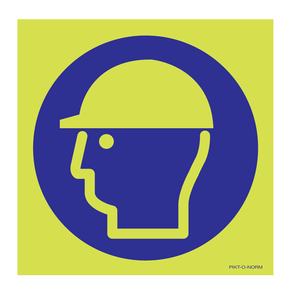 WEAR SAFETY HELMET