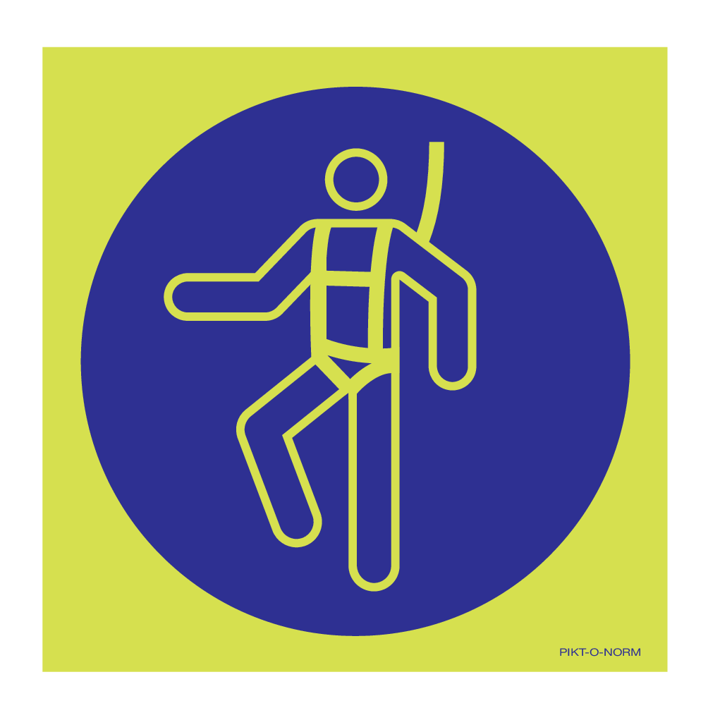 WEAR HARNESS