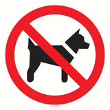 INTERDITS AUX CHIENS