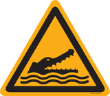 KROKODILLEN, ALLIGATORS OF KAAIMANNEN