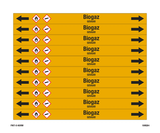 BIOGAZ