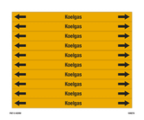 KOELGAS