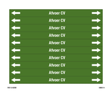 AFVOER CV