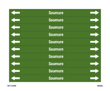 SAUMURE