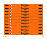 SELENIGZUUR