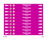 PROPIONZUUR