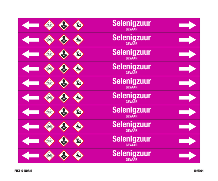 SELENIGZUUR