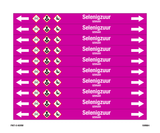 SELENIGZUUR