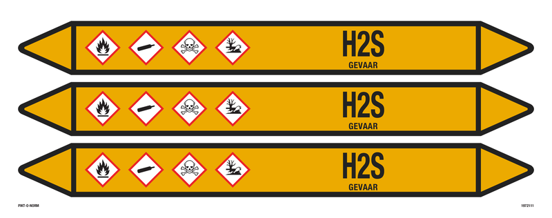 H2S