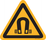 MAGNETISCHE VELD