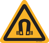 MAGNETISCHE VELD