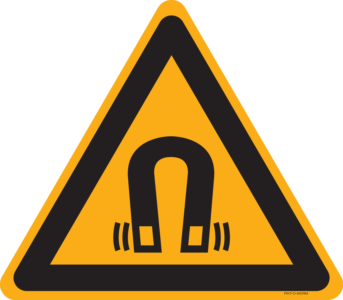 MAGNETISCHE VELD
