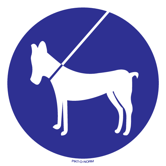 CHIENS EN LAISSE OBLIGATOIRE