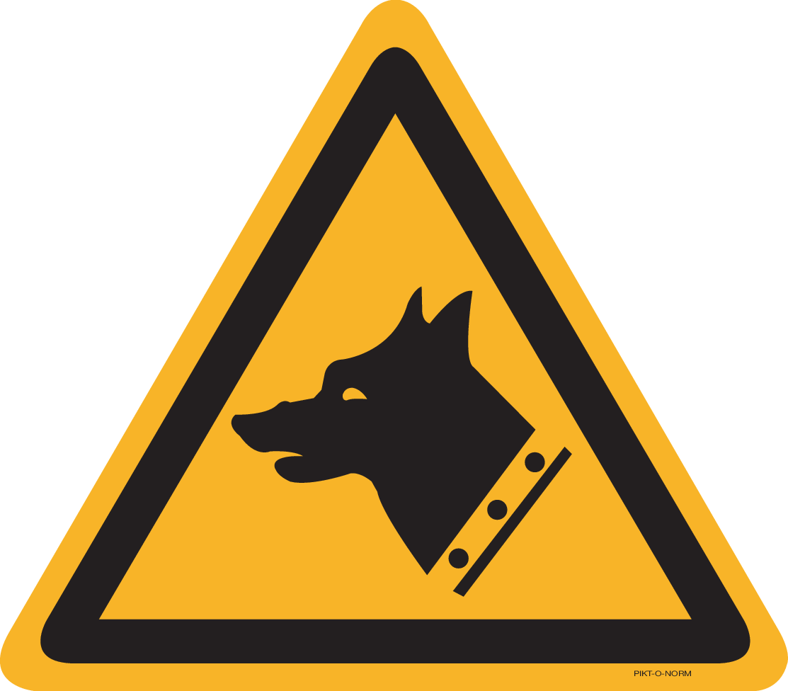 CHIEN DE GARDE