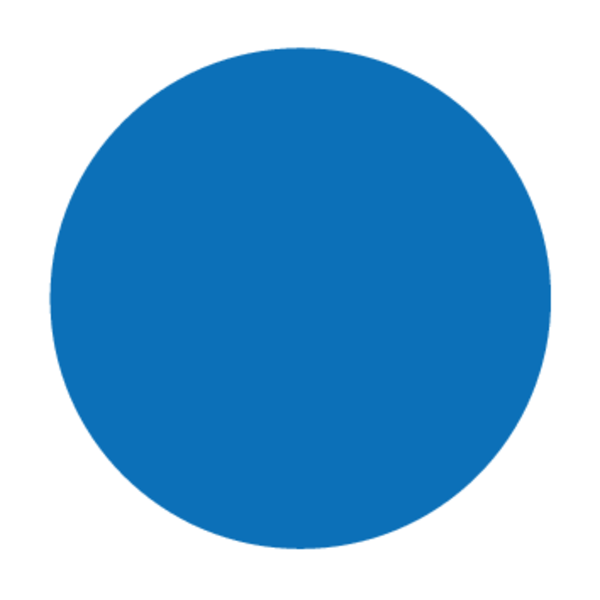 ETIQUETTES BLEUES, AVEC TROU Ø5MM