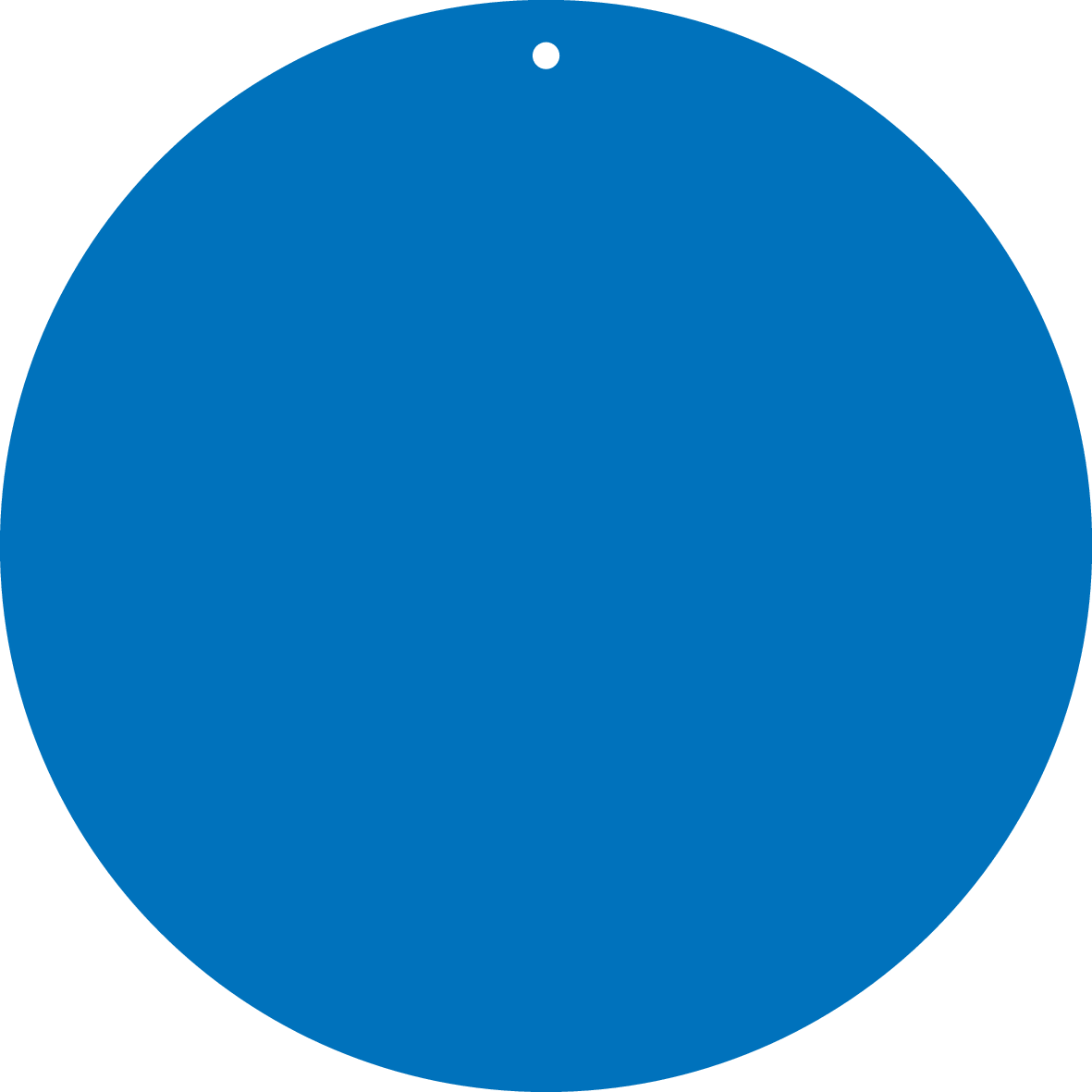ETIQUETTES BLEUES, AVEC TROU Ø5MM