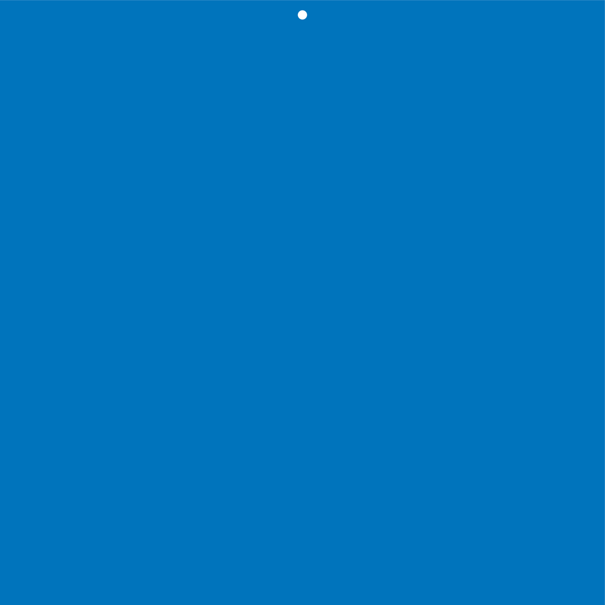 ETIQUETTES BLEUES, AVEC TROU Ø5MM
