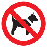 INTERDITS AUX CHIENS