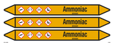 AMMONIAC