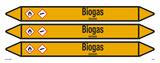 BIOGAS