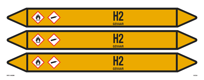 H2