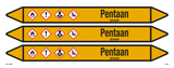 PENTAAN
