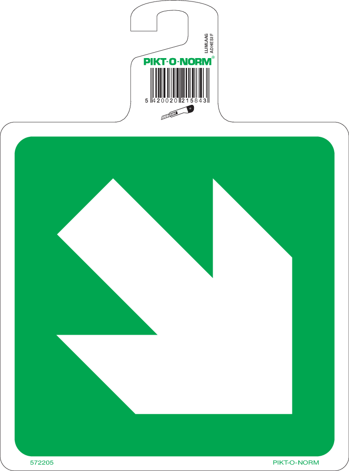 FLÈCHE DIRECTION DIAGONALE ISO7010-E006