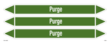 PURGE