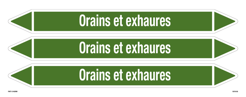ORAINS ET EXHAURES