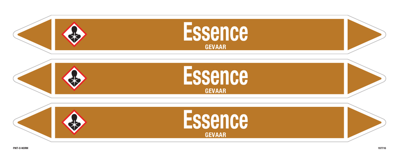 ESSENCE