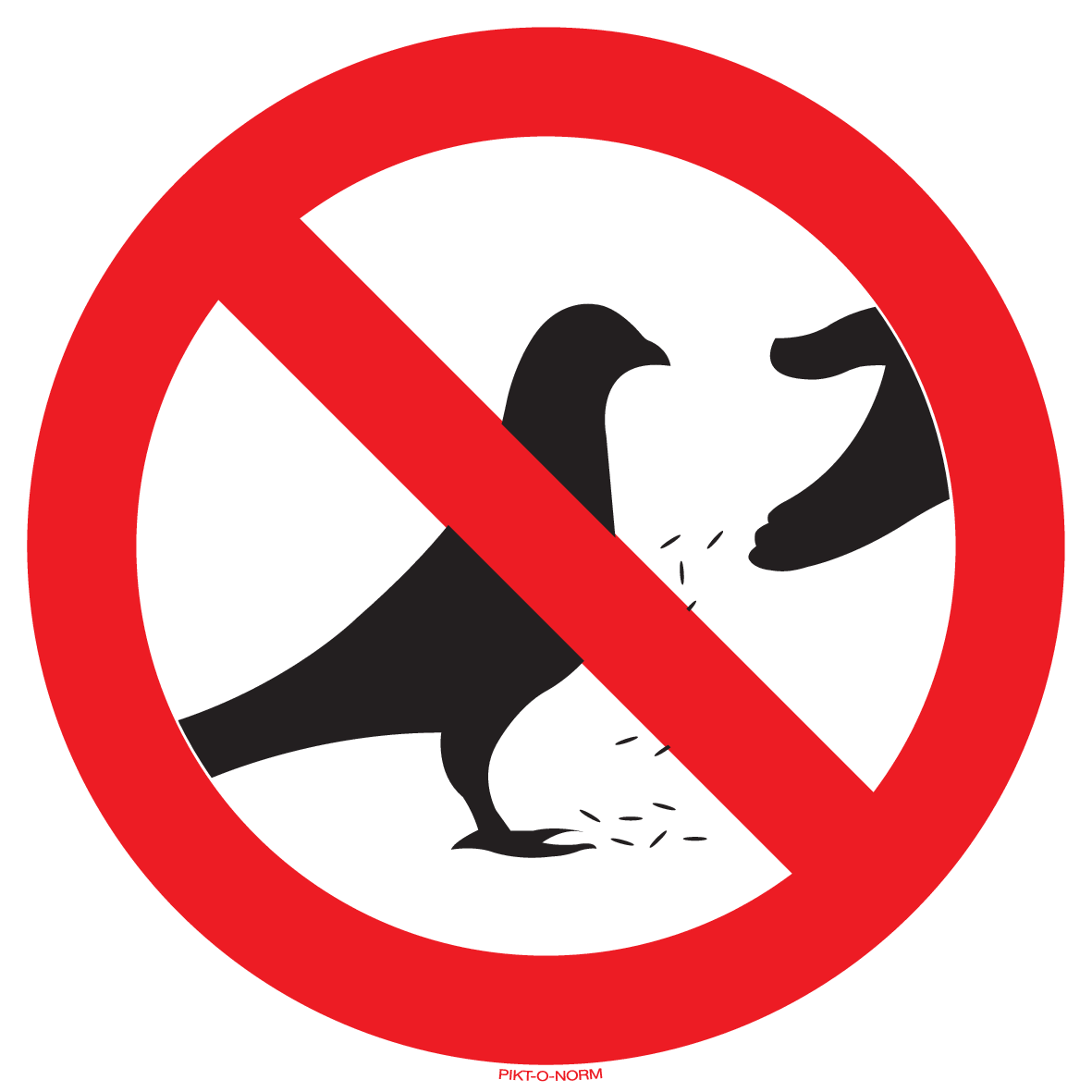 ALIMENTATION DE PIGEONS INTERDITS