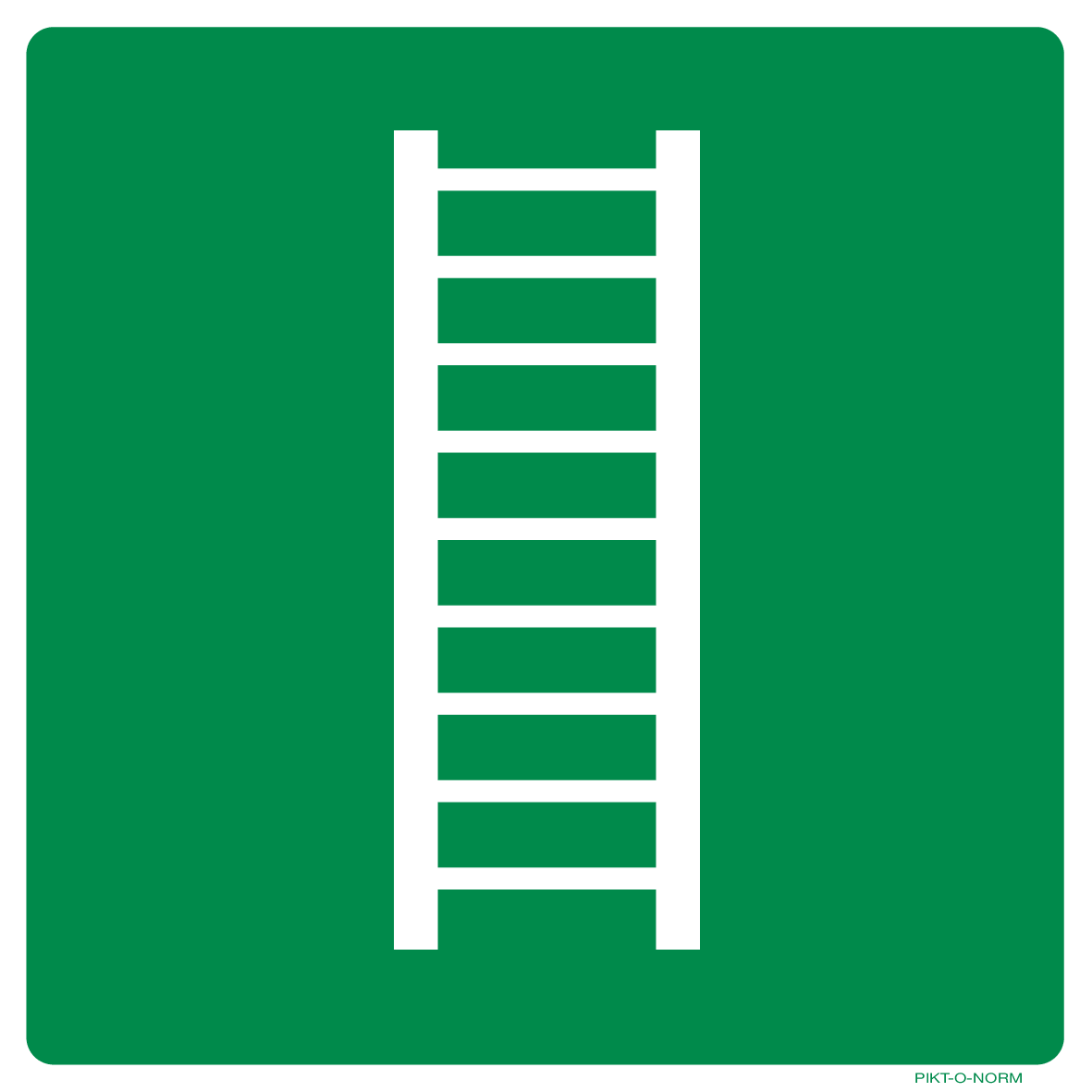 VLUCHTLADDER ISO7010-E059