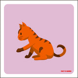 KAT