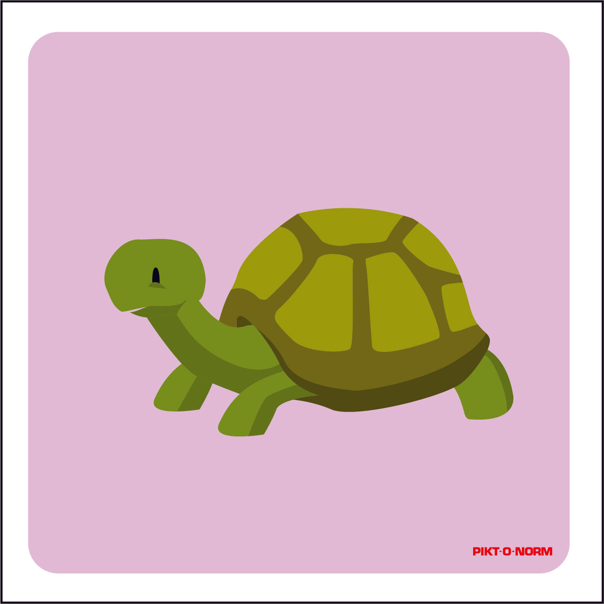 SCHILDPAD
