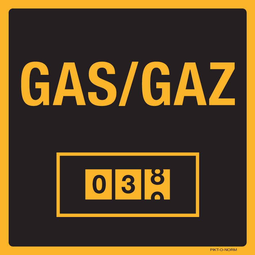 GAS/GAZ METER