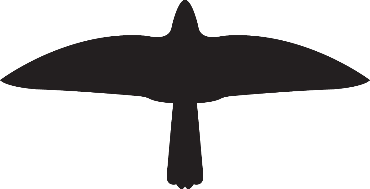 VOGEL MODEL 1