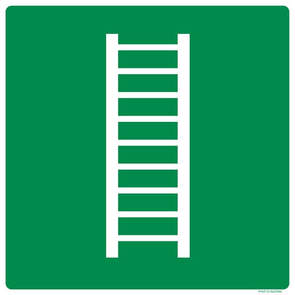 VLUCHTLADDER ISO7010-E059