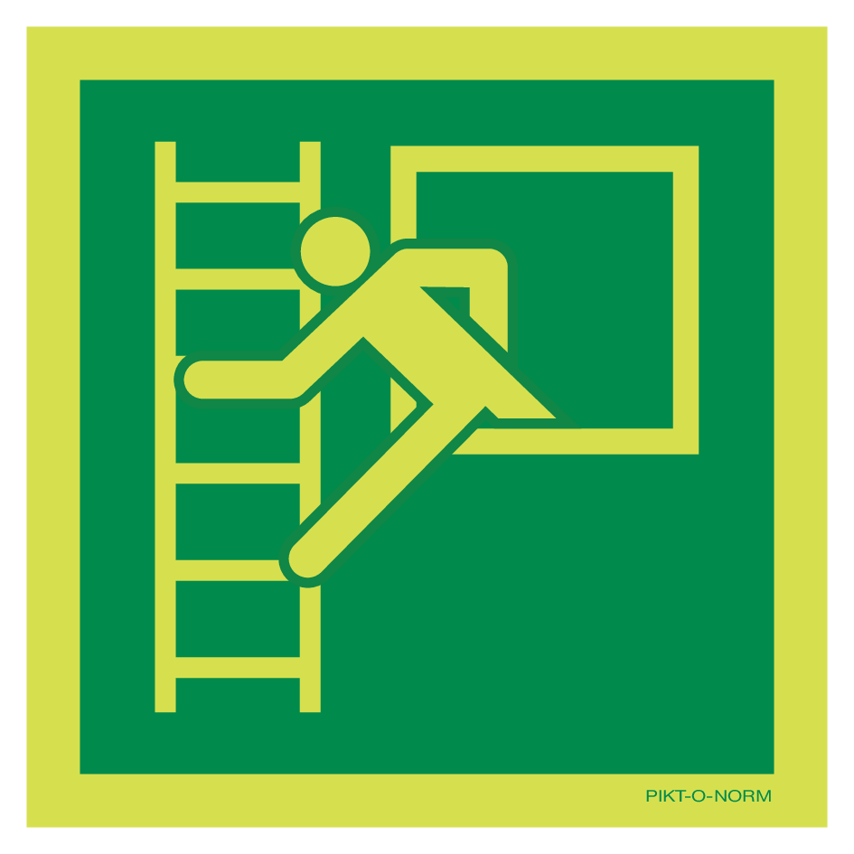 EMERGENCY WINDOW