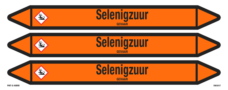SELENIGZUUR