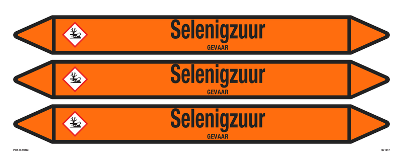 SELENIGZUUR