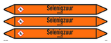 SELENIGZUUR