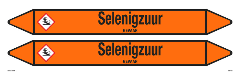 SELENIGZUUR