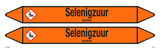 SELENIGZUUR