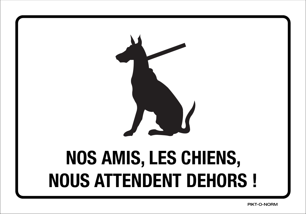 NOS AMIS, LES CHIENS, NOUS ATTENDENT...