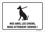 NOS AMIS, LES CHIENS, NOUS ATTENDENT...