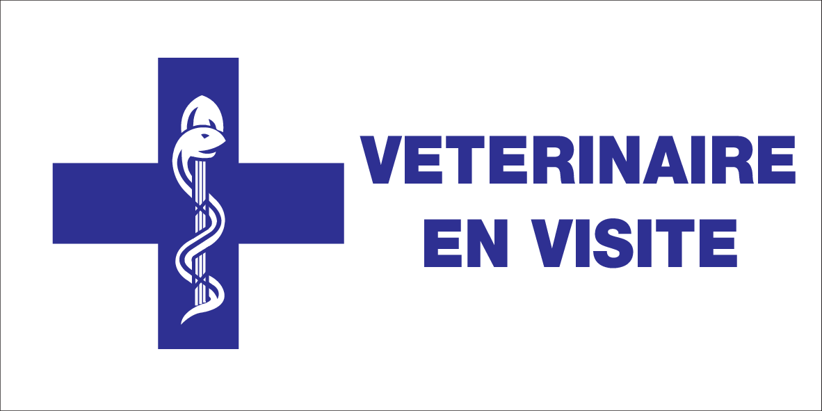 VETERINAIRE EN VISITE