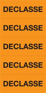 DÉCLASSÉ
