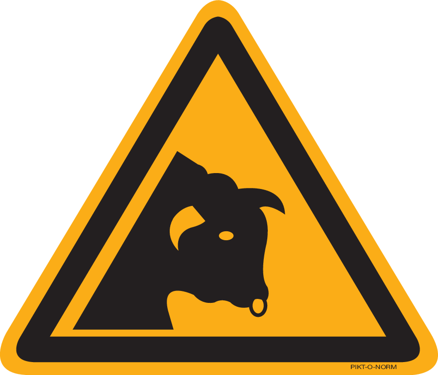 STIER